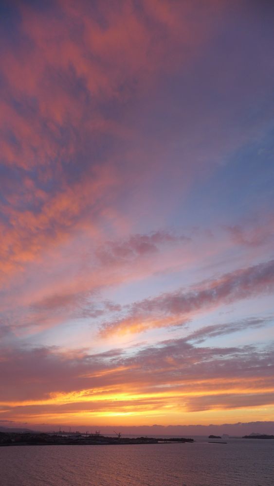 e0069646_17342821.jpg