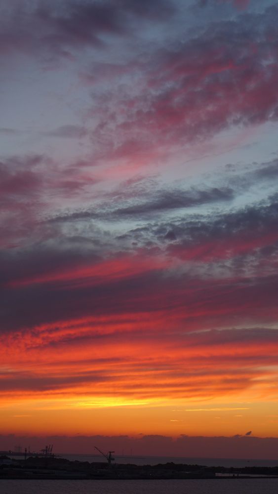 e0069646_17342888.jpg