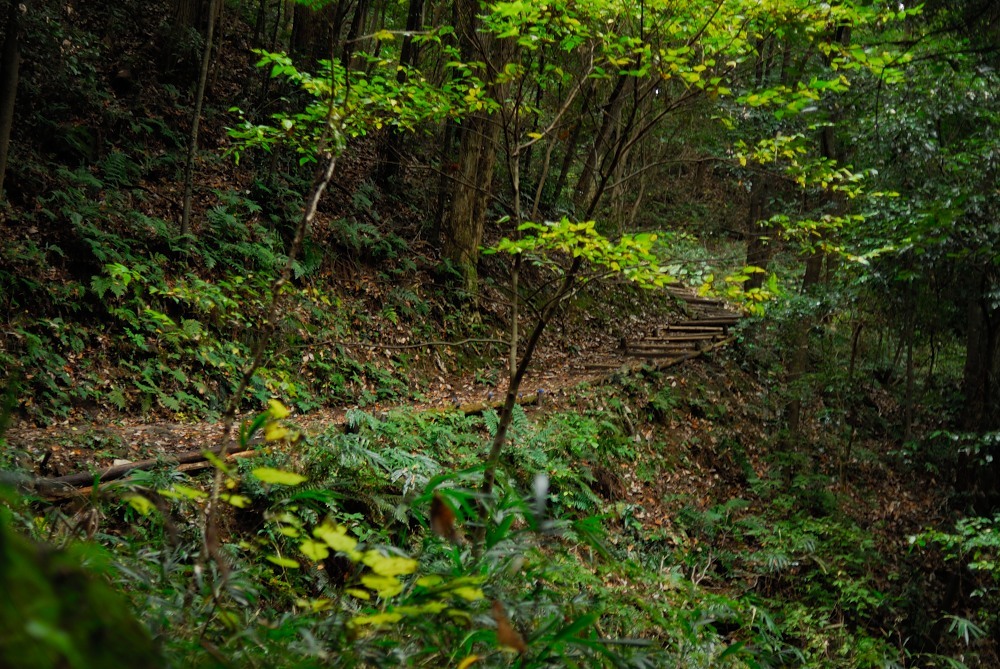 f0224648_09463146.jpg