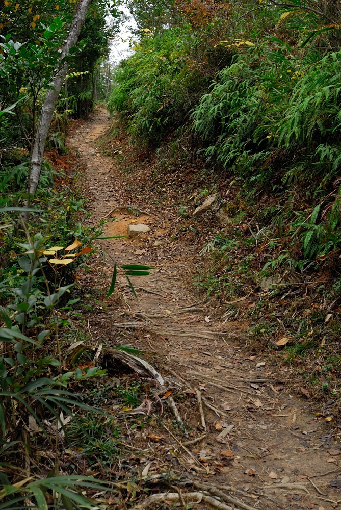f0224648_09480279.jpg