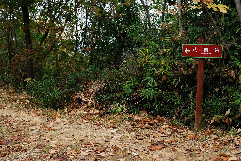 f0224648_09512830.jpg
