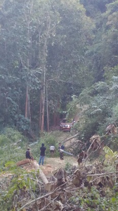f0235252_21602.jpg