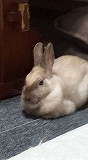 a0201257_14435156.jpg