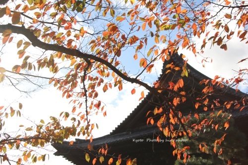 秋の京都 最終回_b0328557_22181827.jpg