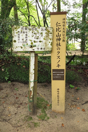  2015.11.15 仁比山神社の紅葉_b0123359_16405777.jpg