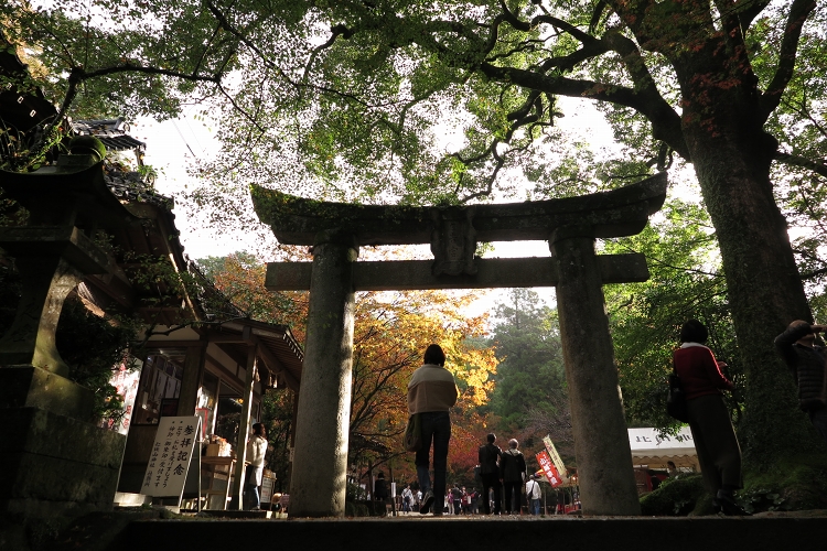  2015.11.15 仁比山神社の紅葉_b0123359_16453283.jpg