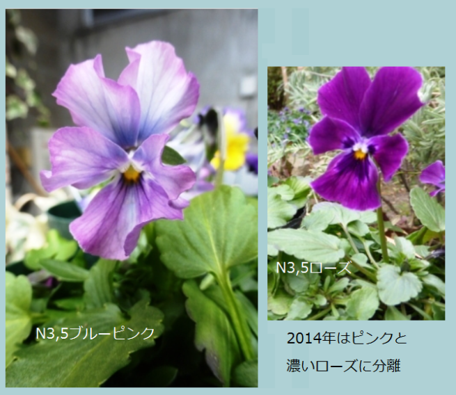 b0318759_14580196.png