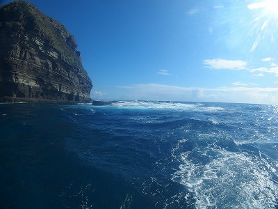 11月18日 最高気温30.2℃_d0113459_1831426.jpg