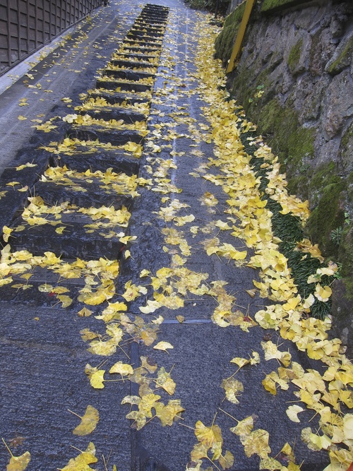 Autumn Kyushu-3._c0153966_15423937.jpg