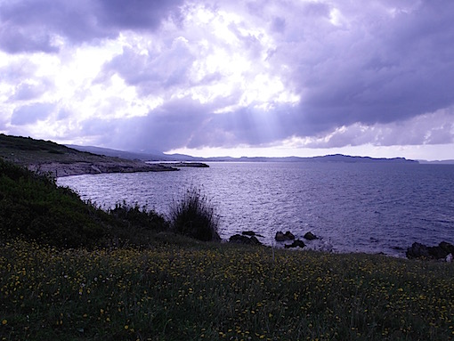 e0357367_3431847.jpg