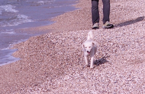 e0357367_3522610.jpg