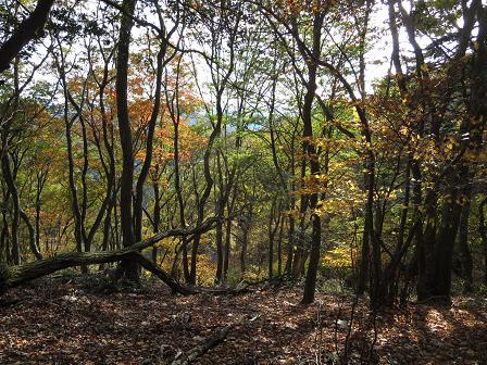 ムネ山～奥谷山　　北側から周回_f0302771_228154.jpg