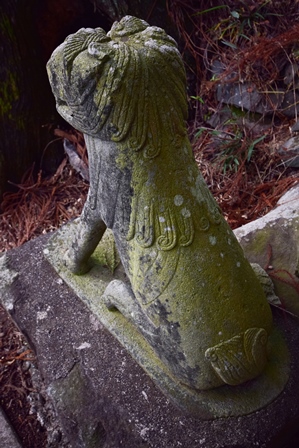 荒船神社　夫婦杉　2015_f0342371_8192777.jpg