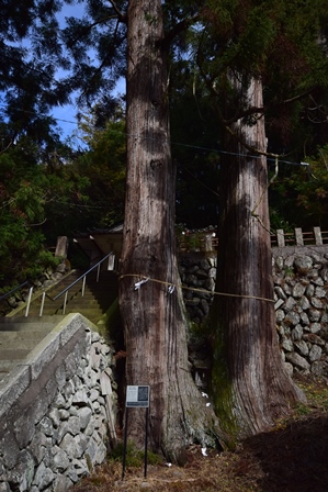 荒船神社　夫婦杉　2015_f0342371_8194635.jpg