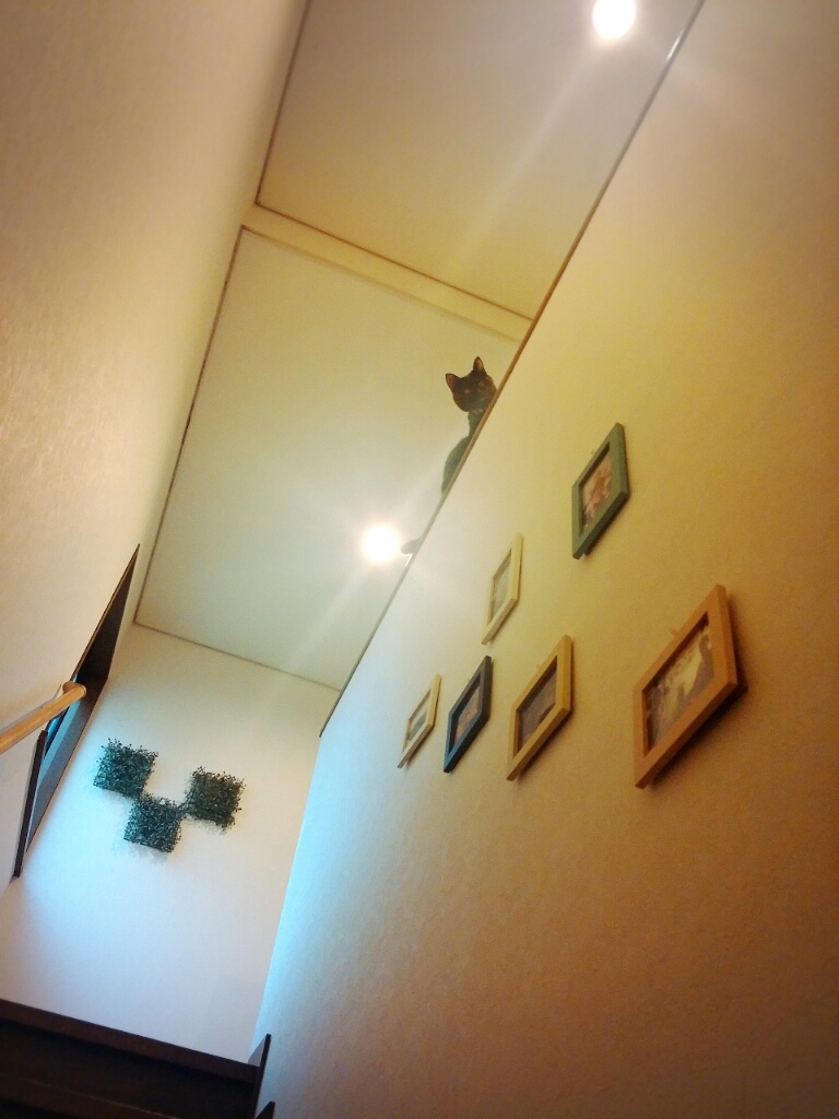 f0238772_10485926.jpg
