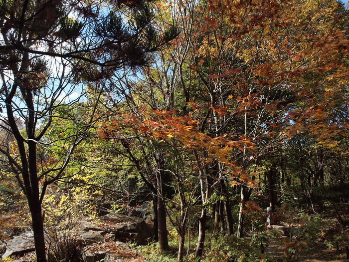 『木曽川水園の秋風景～』_d0054276_2032511.jpg