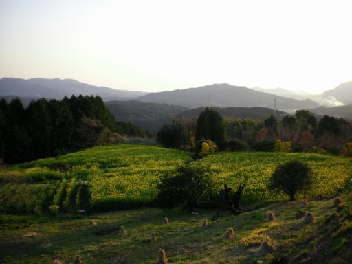 武雄にて　（ゆめぎんが／馬場の山桜／ほか）_b0005281_20121878.jpg