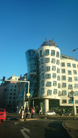 f0169885_01173795.jpg