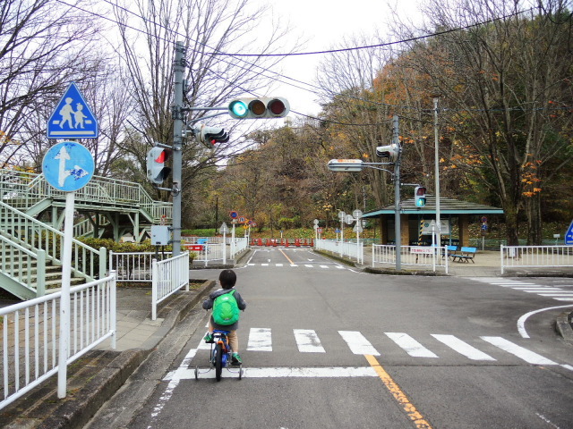 「るーぷる仙台」で４歳児と巡る・・・アリスの庭と三沢居交通公園の巻_f0100593_13323478.jpg