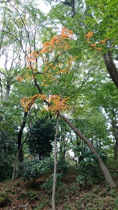 a0119795_12030251.jpg