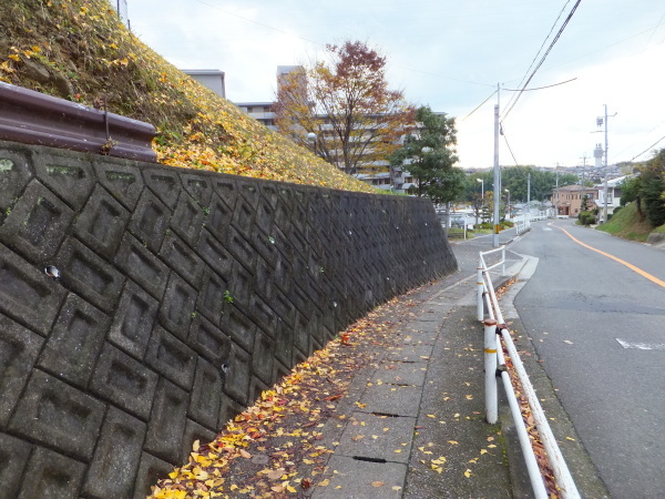 歩こう　緑地を見に行こう　（89）赤峰台第3緑地_b0212898_19571139.jpg