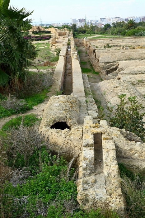 地中海を制した貿易大国の都の跡（世界遺産、カルタゴ遺跡）_b0291402_05532499.jpg