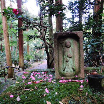 東慶寺の野葡萄_c0195909_13243815.jpg