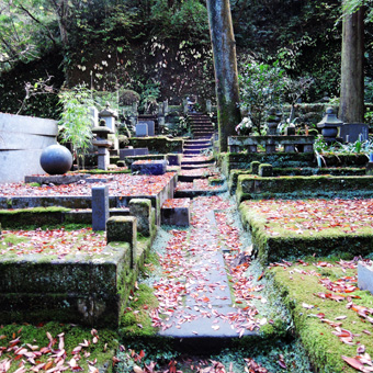 東慶寺の野葡萄_c0195909_13244297.jpg