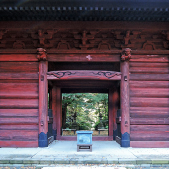 東慶寺の野葡萄_c0195909_13245697.jpg