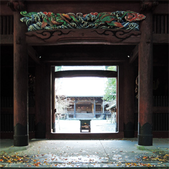 東慶寺の野葡萄_c0195909_1325264.jpg