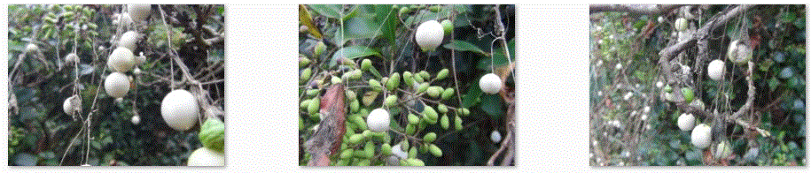 f0231709_22243453.gif