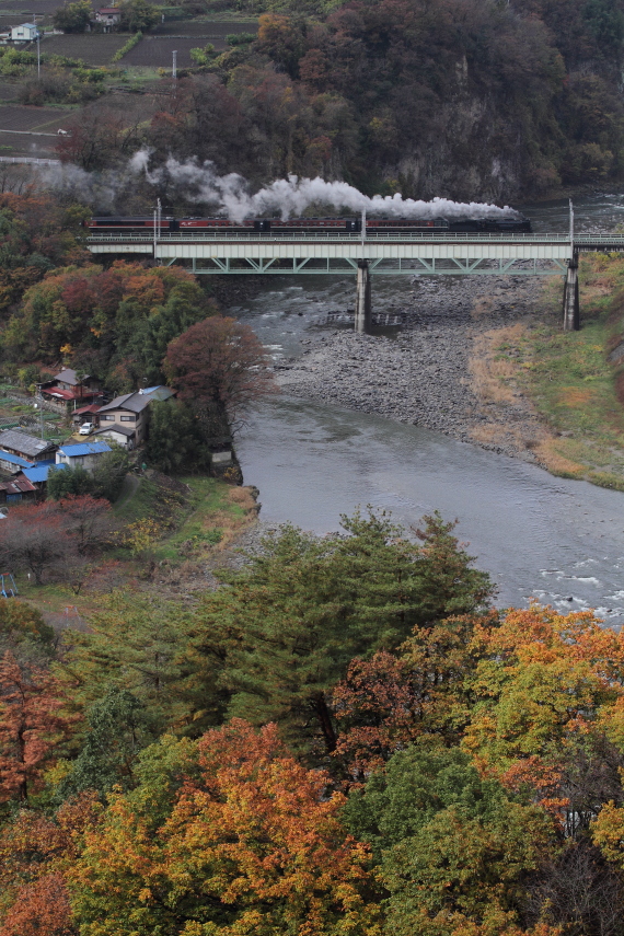紅葉と白煙の第三利根川橋梁 - 2015年紅葉・上越線 - _b0190710_22493880.jpg