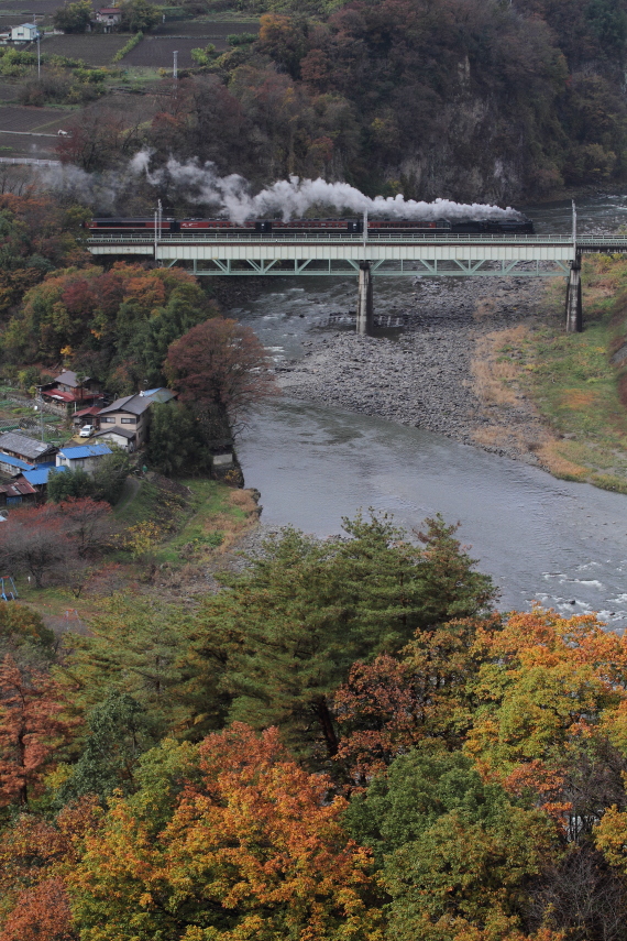 紅葉と白煙の第三利根川橋梁　- 2015年紅葉・上越線 -  _b0190710_22493880.jpg