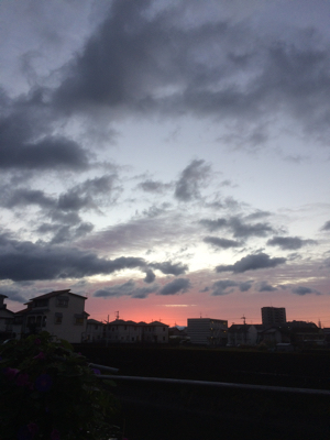 d0169411_09463991.jpg