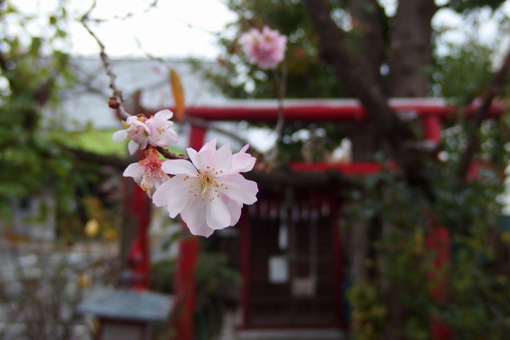 a0268412_21164461.jpg