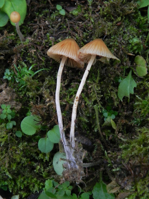 e0352220_23001840.jpg