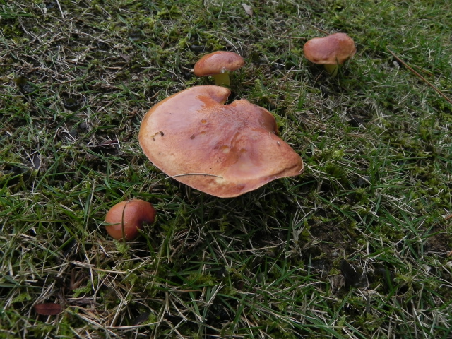 e0352220_23081804.jpg