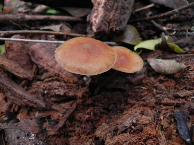 e0352220_23114975.jpg