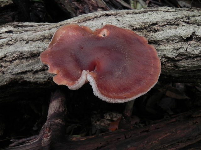 e0352220_23263749.jpg