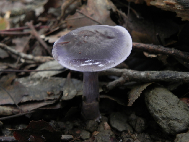e0352220_23283123.jpg