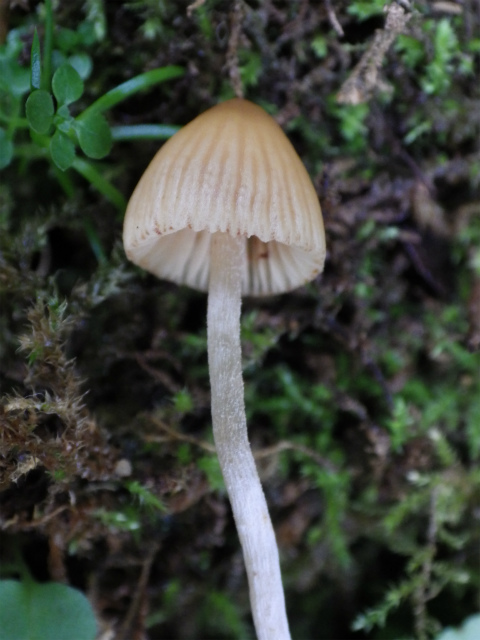 e0352220_23314053.jpg