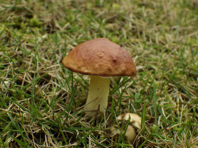 e0352220_23462125.jpg