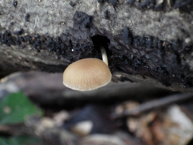 e0352220_23484894.jpg