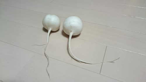 f0142721_12347.jpg