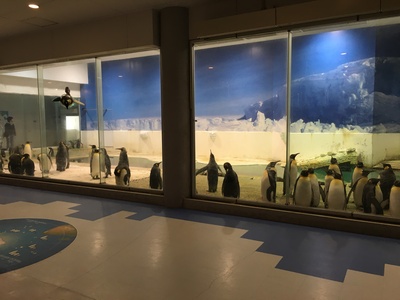 b0177323_16375396.jpg