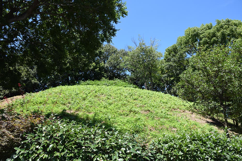 大坂の陣400年記念ゆかりの地めぐり その26 ~小松山古戦場跡~_e0158128_1943897.jpg