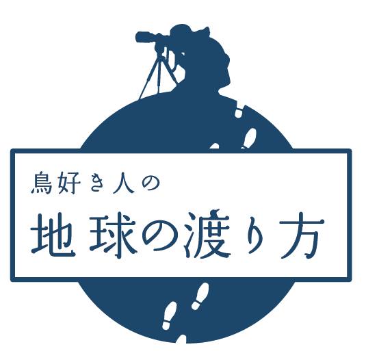 連載開始のお知らせ　Birder誌にて、2016年1月号より_c0001429_201911100.jpg