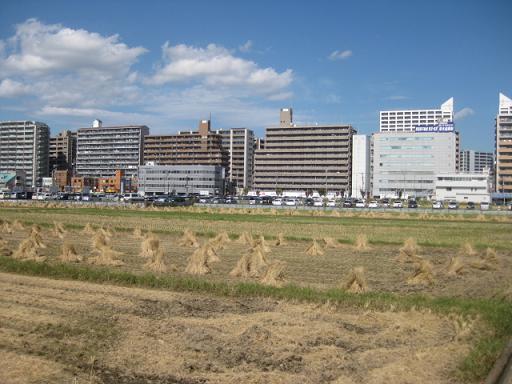 c0217931_1740077.jpg
