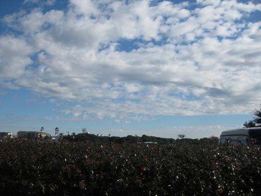 c0217931_17424465.jpg