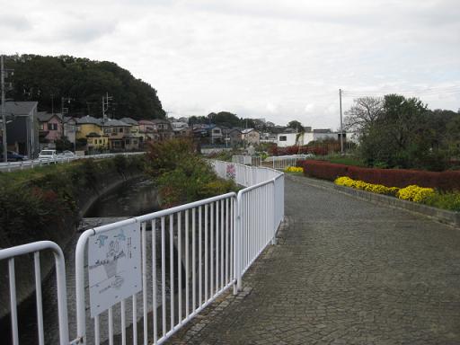 c0217931_1744994.jpg